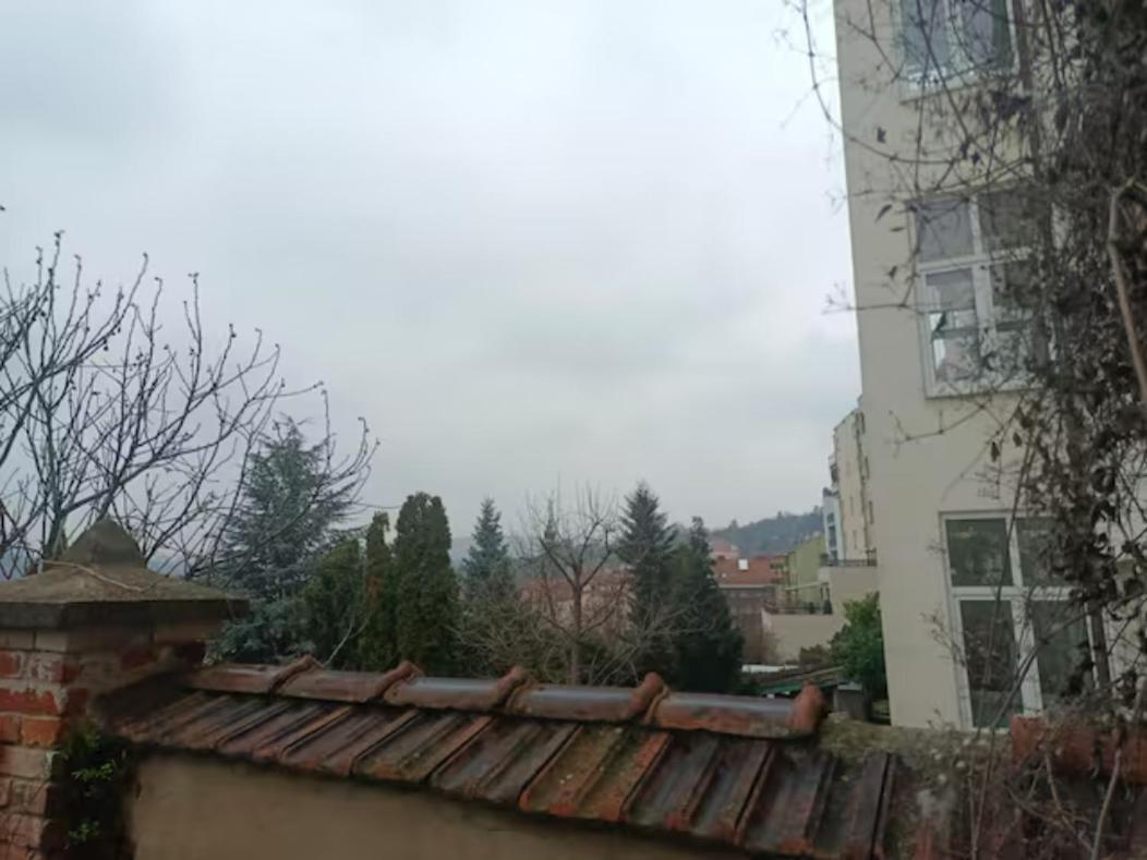 Byt S Terasou A Zahradou Brno Dış mekan fotoğraf