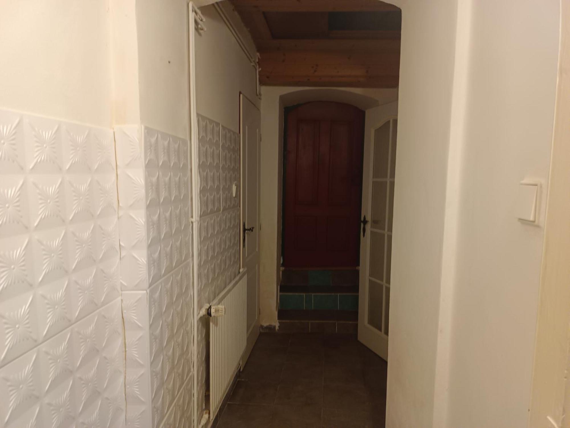 Byt S Terasou A Zahradou Brno Dış mekan fotoğraf