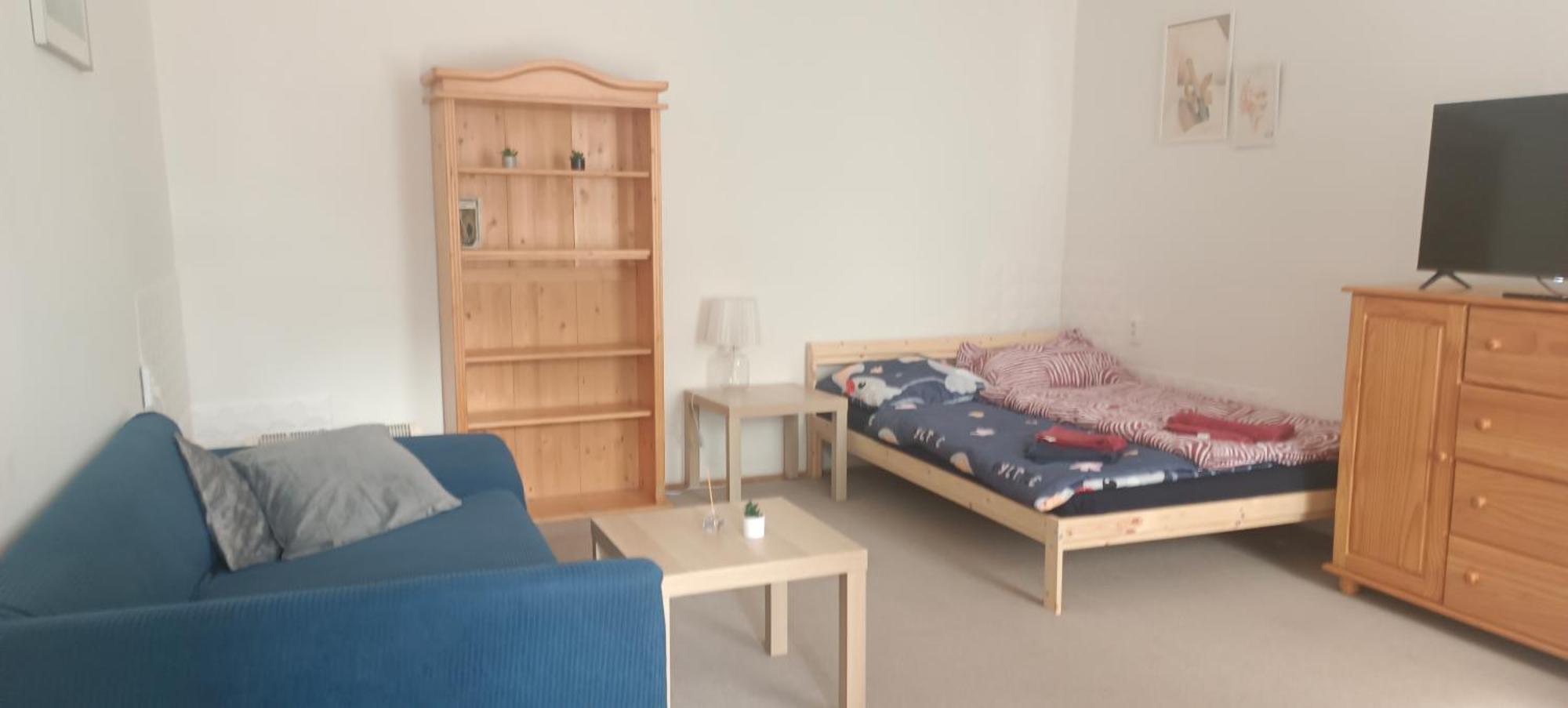 Byt S Terasou A Zahradou Brno Dış mekan fotoğraf